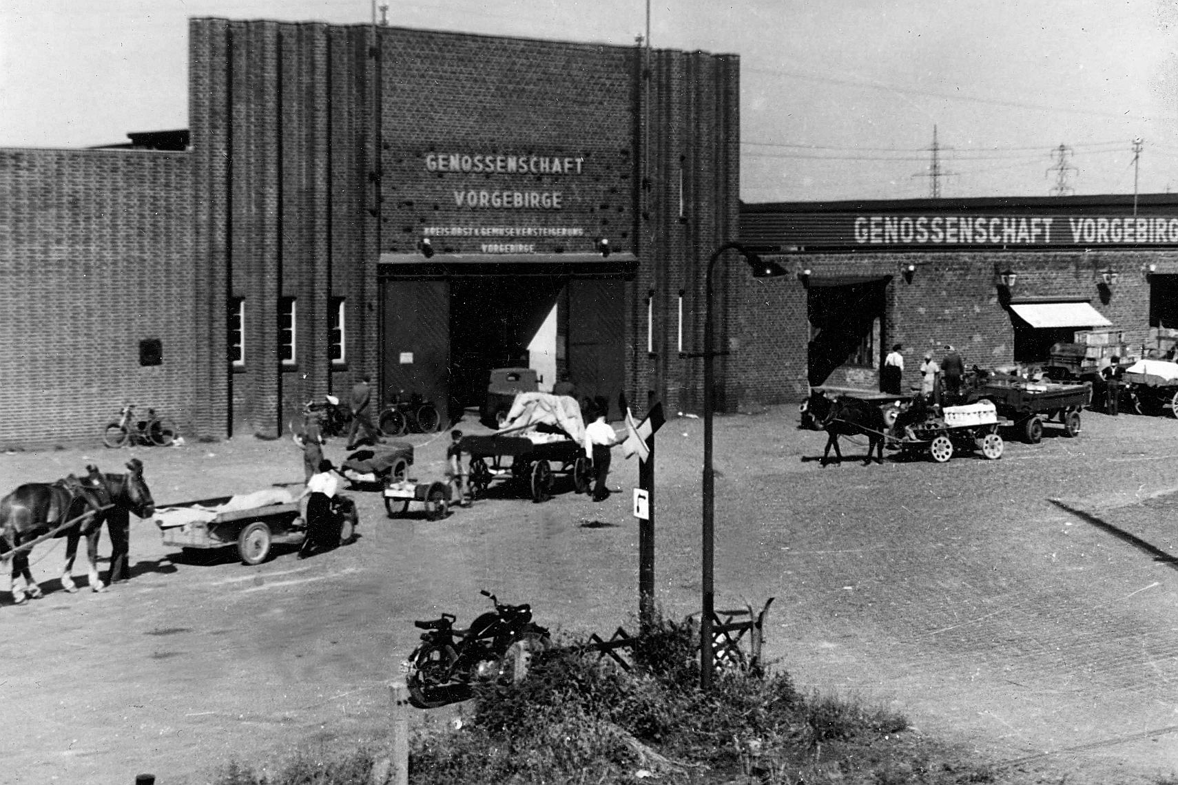 Schwarz-Weiß-Foto eines gemauerten Lagerhauses mit der Aufschrift "Genossenschaft Vorgebirge", mit Menschen, Pferdefuhrwerken und Fahrrädern auf dem kopfsteingepflasterten Hof davor.